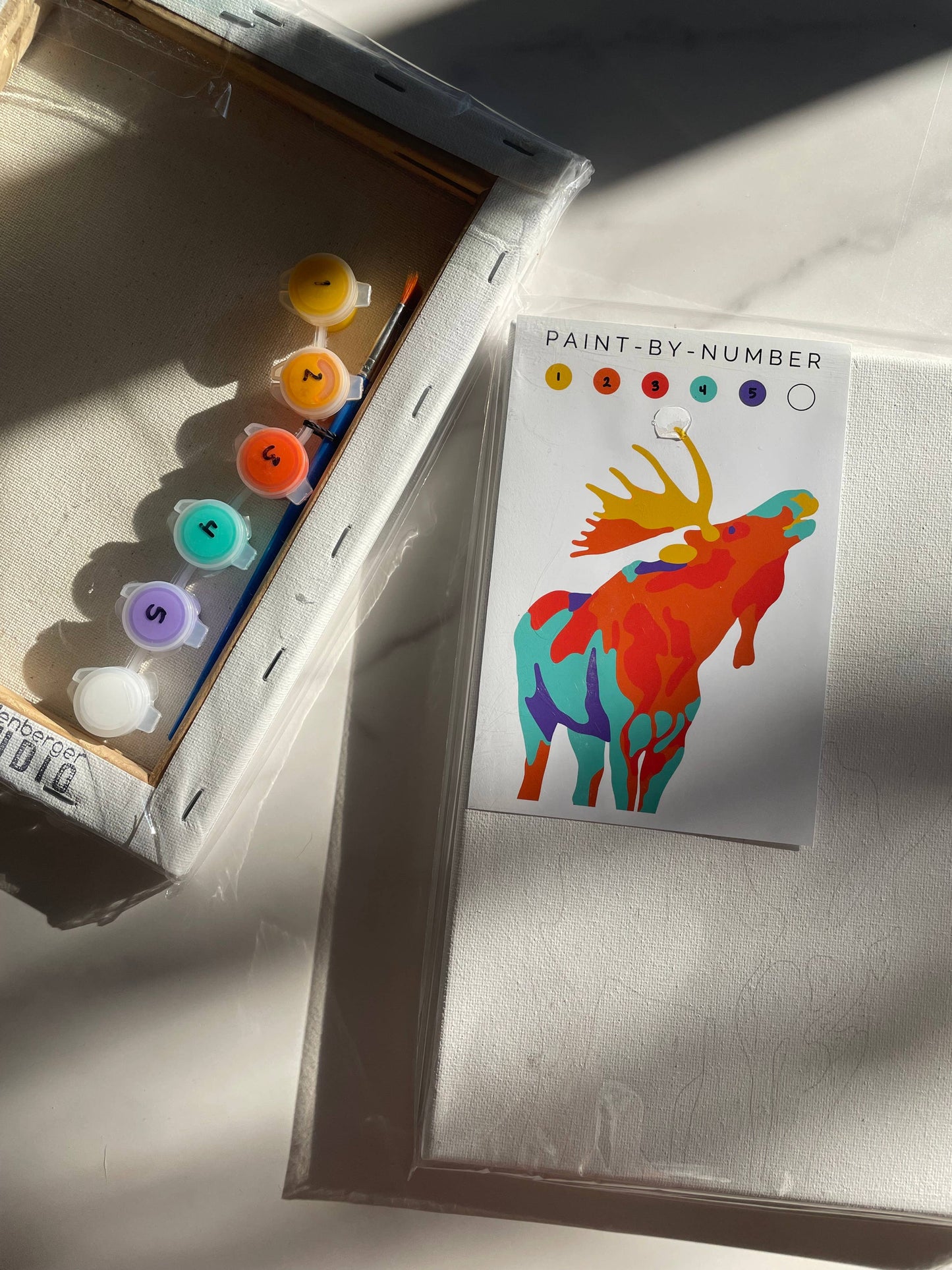 Moose Paint-By-Number (kit)