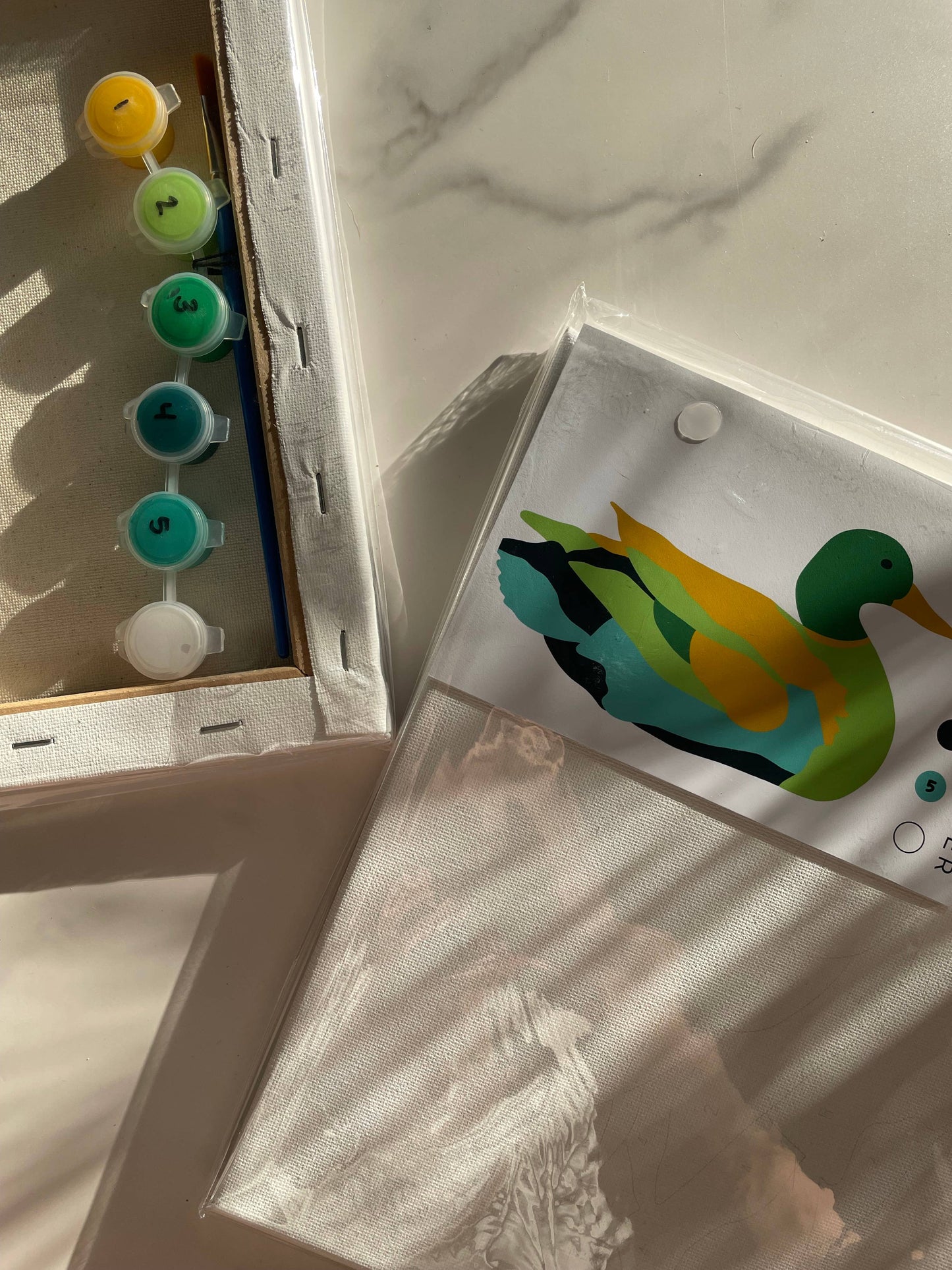 Duck Paint-By-Number (kit)