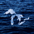 Watercolor Great Lakes Decal | 3x5