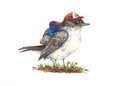 Bird with Hiking Pack Art Print - Great Lakes Girls, Ltd.