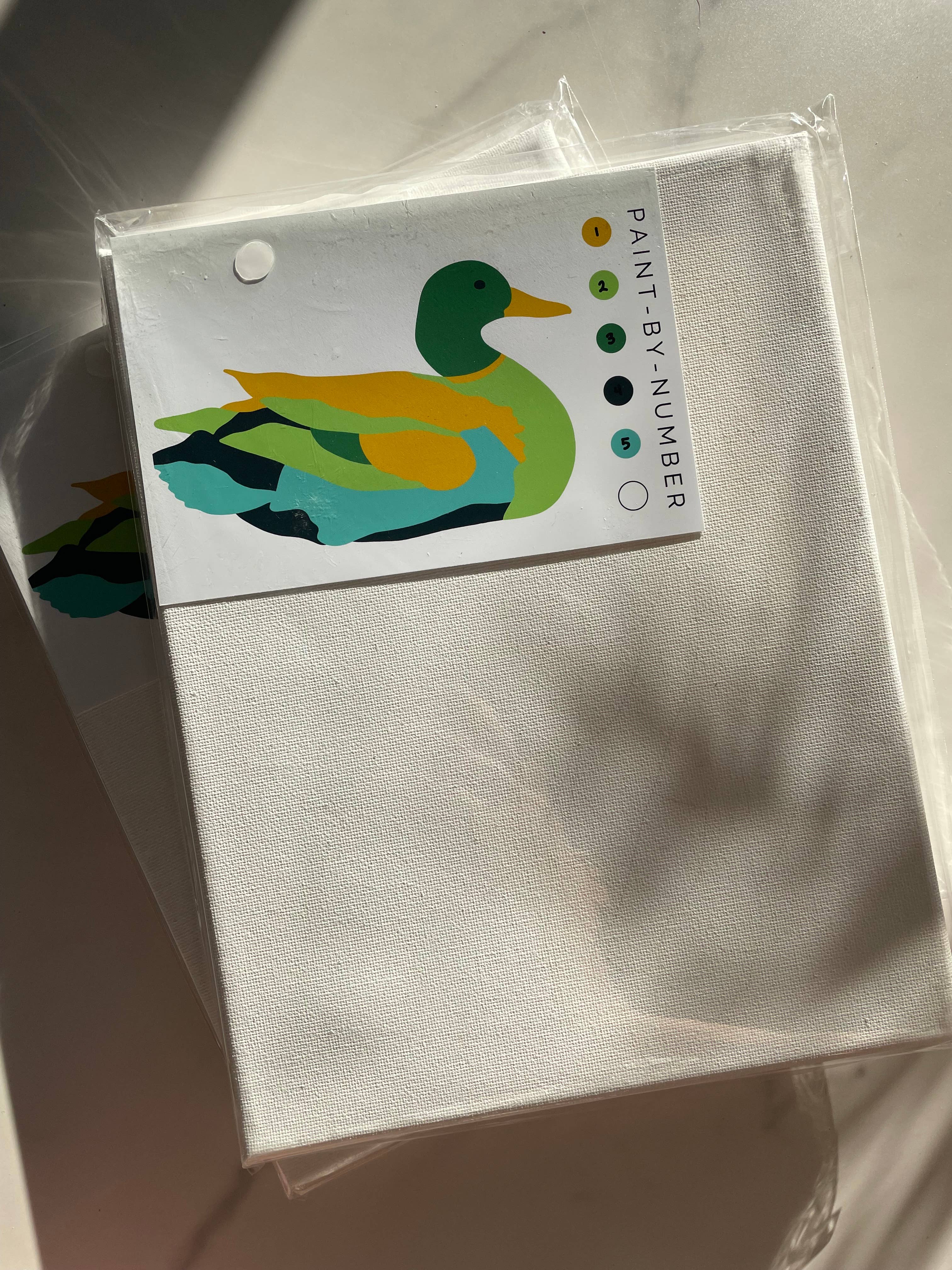 Duck Paint-By-Number (kit)