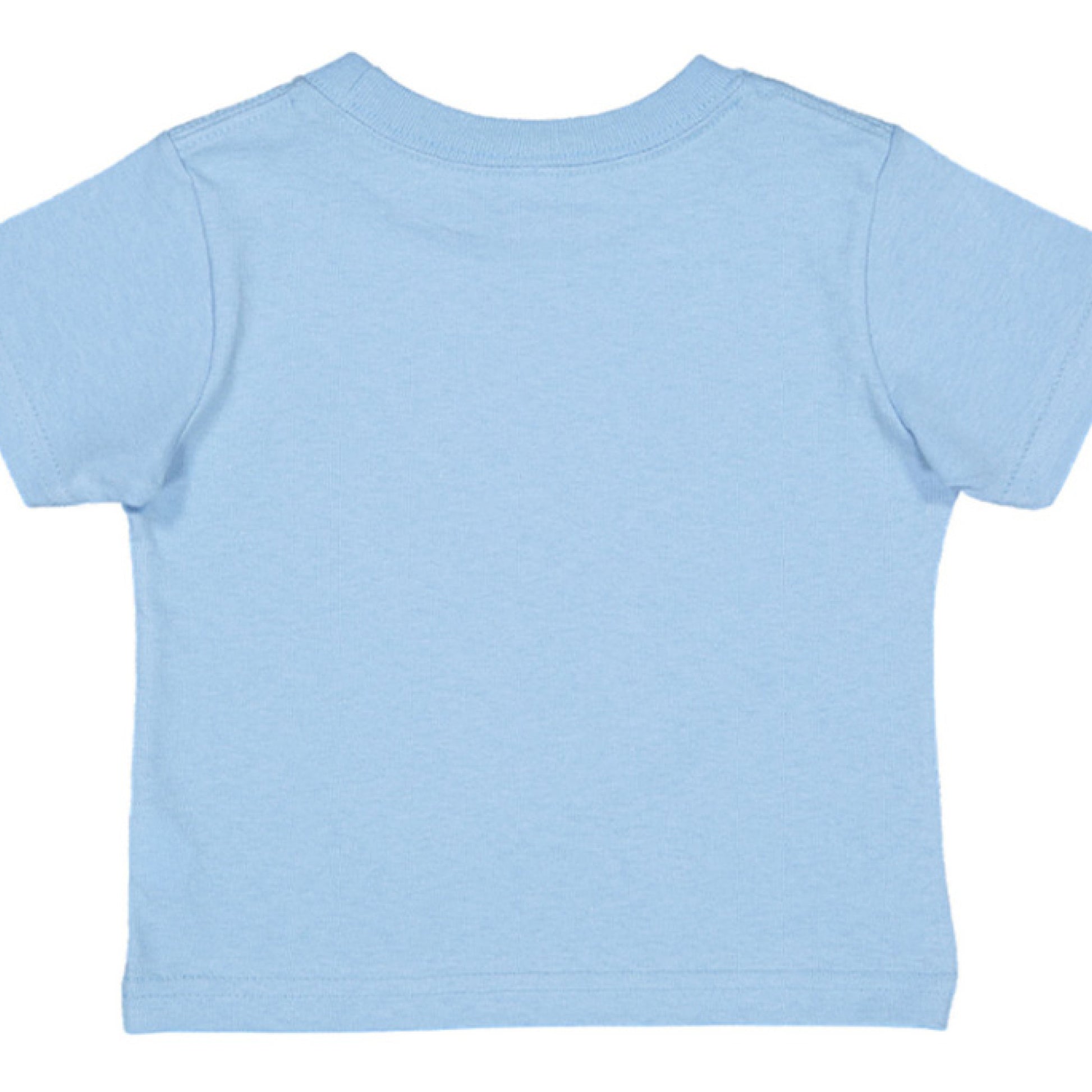 LIGHT BLUE - BACK